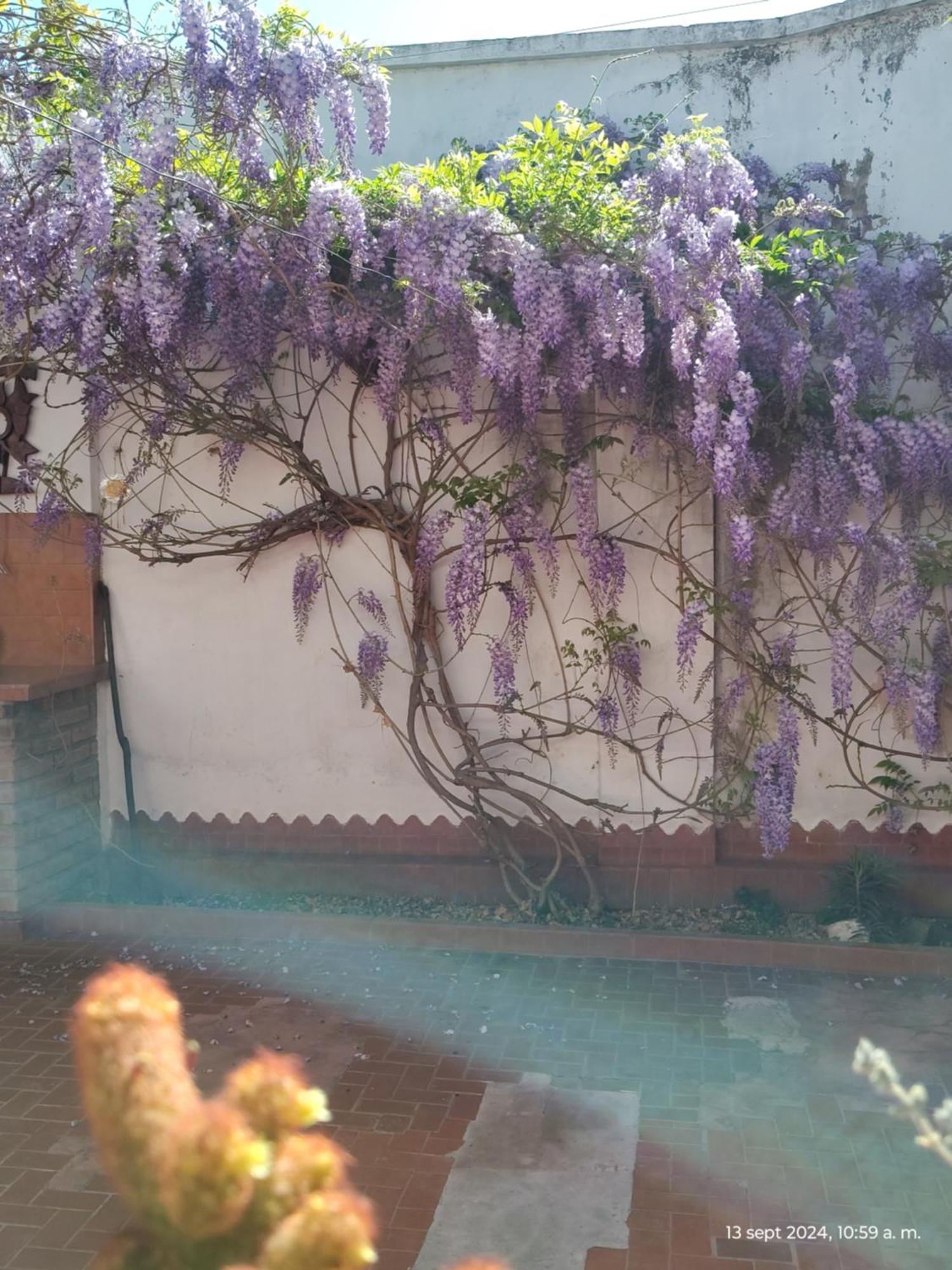 Villa Casa Kuyay San Salvador de Jujuy Exterior foto
